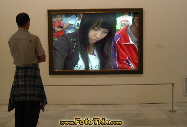 Jelita